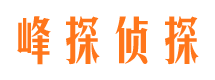 向阳侦探公司